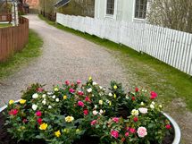 Eskonraitti suljetaan autoilta kesäksi (ei läpiajoa, tontille ajo sallittu Vanhalta Raitilta)