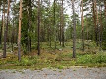 Salo, Särkisalo, Karhumäki