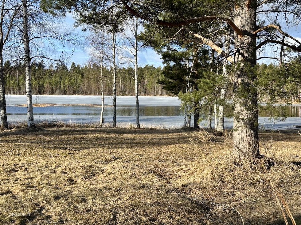 Kohdekuva