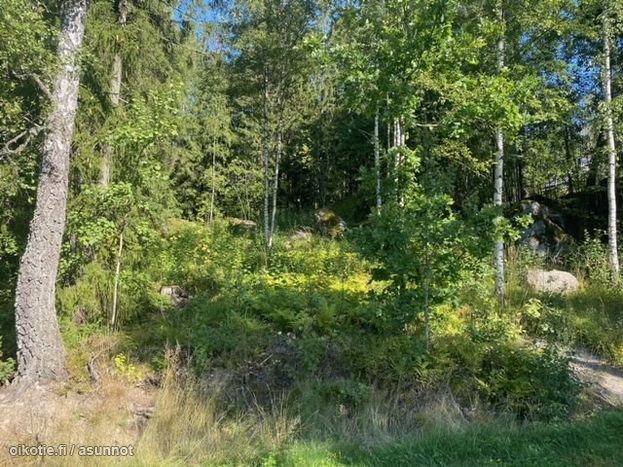 Asuntoilmoituksen kuva