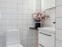 Erillinen wc