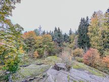 Keskuspuisto on lähellä.