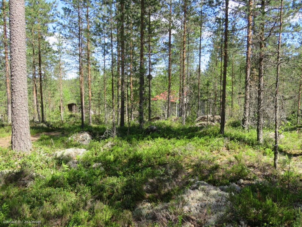 18 63 Ha Kapialahdentie 52420 Mikkeli Ristiina Metsatila Kaksio Myynnissa Oikotie 14677840