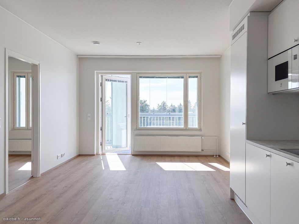 Keittiö ja olohuone muodostavat avaran yhtenäisen tilan