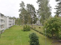 Näkymä ikkunasta pihaan