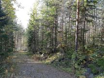 Leppävirta, Kuvansi, Herralanlahti