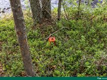 kuva 9 rajapyykki länsirajalla