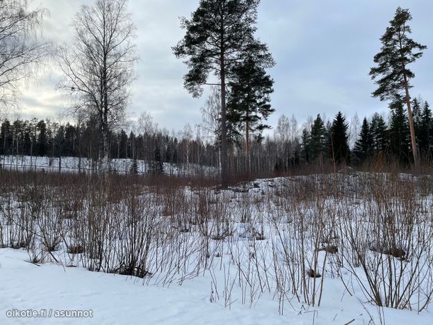 Asuntoilmoituksen kuva