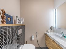 erillinen wc 1