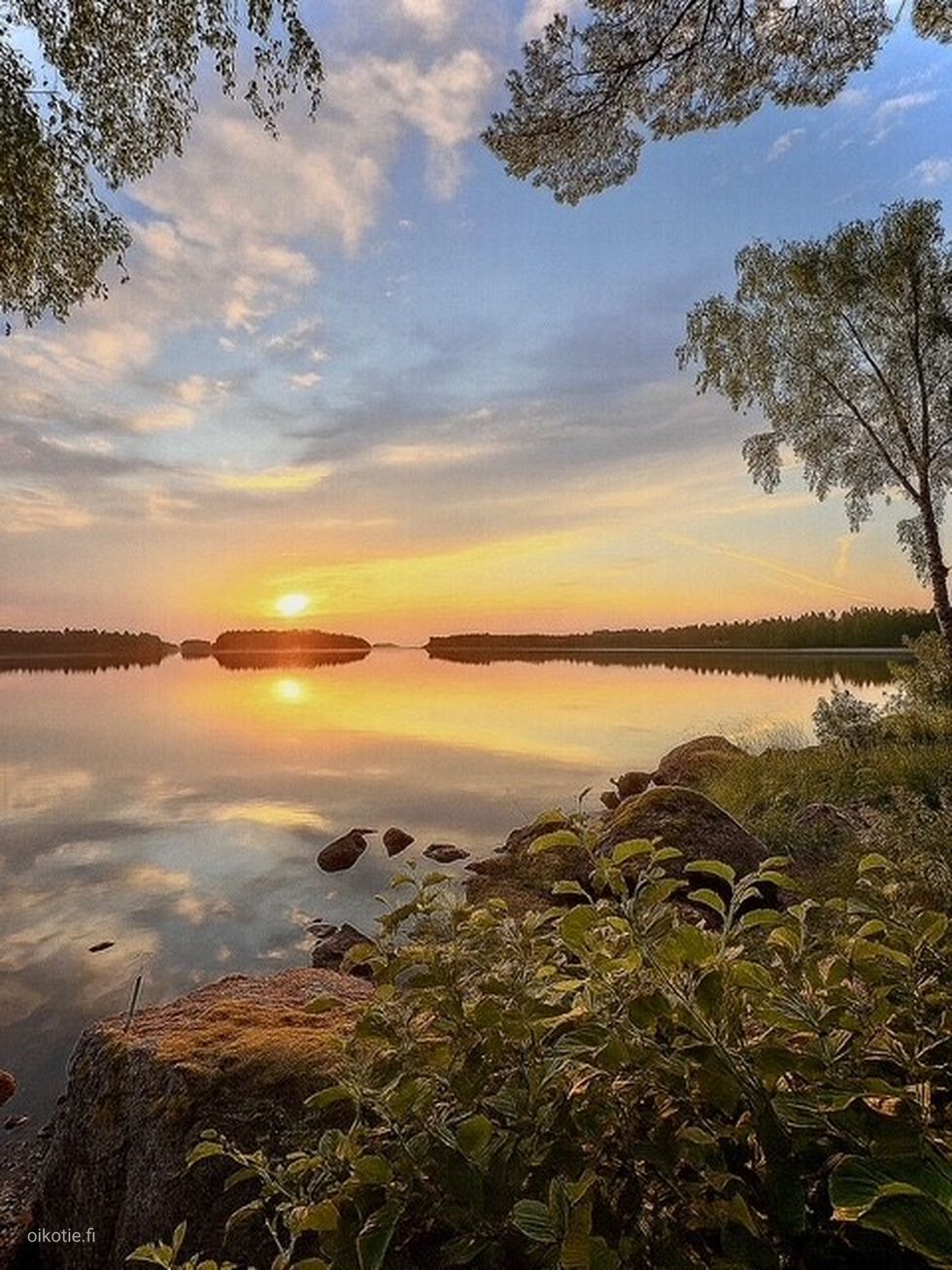 Kohdekuva