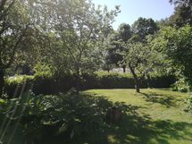 Myyjän ottama kesäkuva