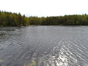 Kohdekuva