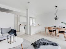 Stailattu päärakennus 1krs