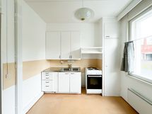 Keittiössä tiskaus sujuu kahden altaan avulla.