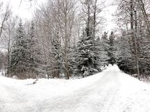 Maunula on rauhallista asuinaluetta, mutta hyvien yhteyksien päässä keskustasta.