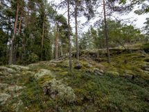 Salo, Särkisalo, Karhumäki
