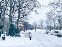 Dallapénpuisto on vastapäätä