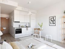 Asunto mallikalustettuna