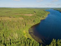 Kaavi, Rikkavesi, Luikonlahti