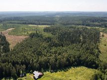 Metsäpalsta Käkikumpu II