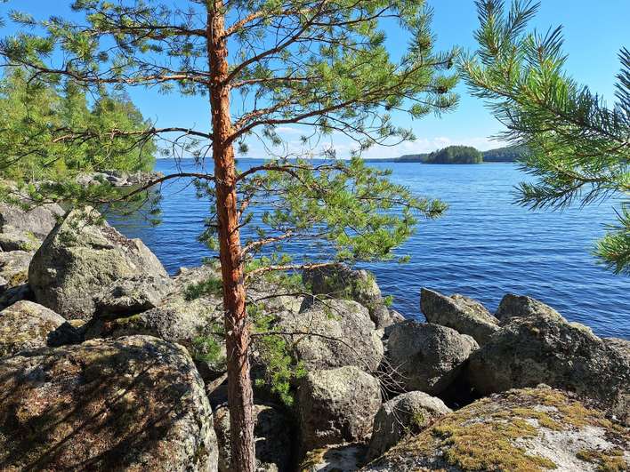Tontti, 5 395 m², Padasjoki, Padasjoki