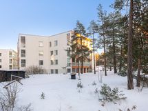 Rakennukset sulautuvat ympäröivään maisemaan.