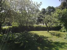 Myyjän ottama kesäkuva