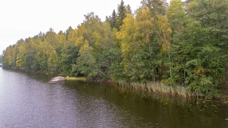 Tontti, 3 910 m², Kirkkola, Hartola