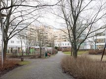 Taloyhtiön pihaa