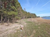 Tontti 2/ itäranta