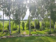 Näkymä piha-alueelta