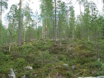 Sonkajärvi, Raudanvesi