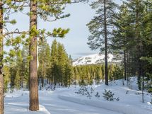 Ruka näkyvissä