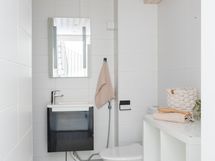 Alakerran pesuhuone-wc on remontoitu ajanmukaiseksi.