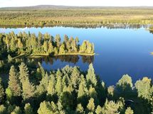 Kitinen