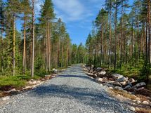 Kannus, Lehtoranta Niemeläntie, tonttitie perille saakka