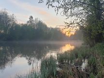 kesämaisema