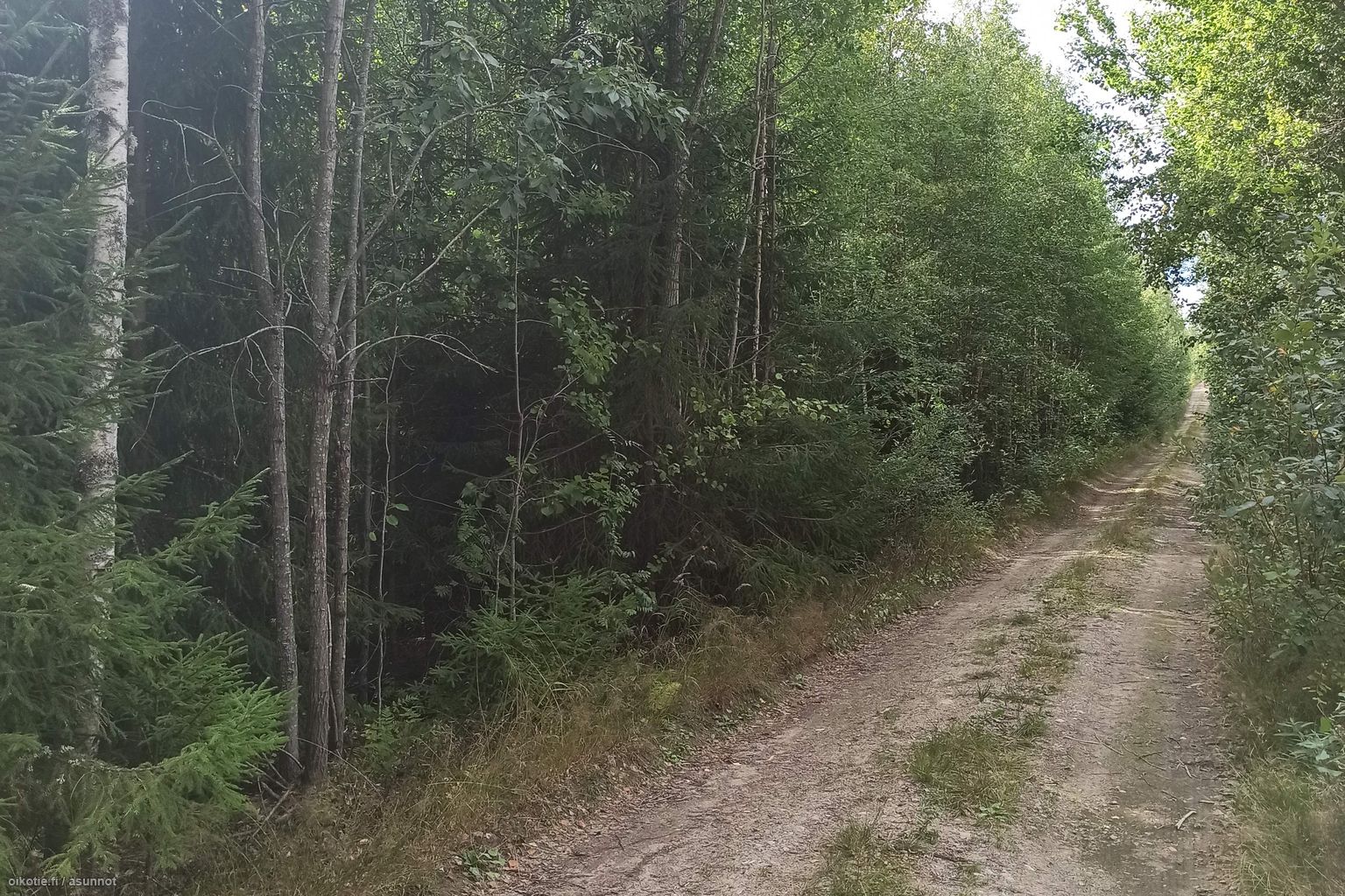 4,11 ha Kaidanpääntie, 05950 Hyvinkää Metsätila myynnissä Oikotie 21000782