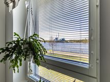 Näkymää keittiön ikkunasta
