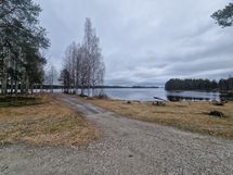 maisema pihasta