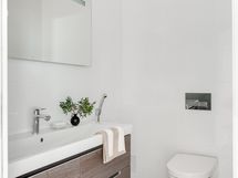 Alakerran erillinen wc