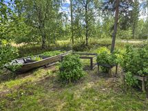 Pihapiirissä marjapensaita