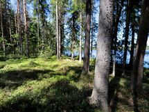 Ylöjärvi, Kuru, Iso-Mustajärvi pohjoinen