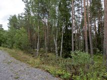 Salo, Särkisalo, Karhumäki