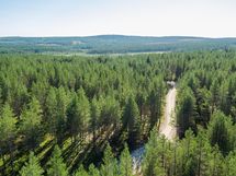 Pudasjärvi, Syöte, Pytkynharju