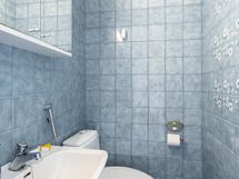 Alakerran toinen wc