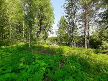 Leppävirta, Osmajärvi, Itkola