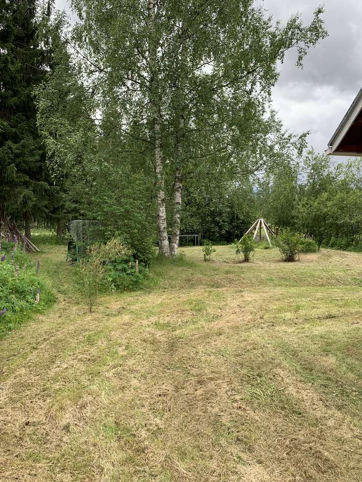Tontti, 1 100 m², Vehniä