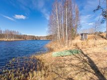 Palsinajärveä