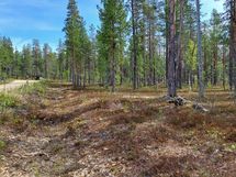 Sodankylä Kakslauttanen